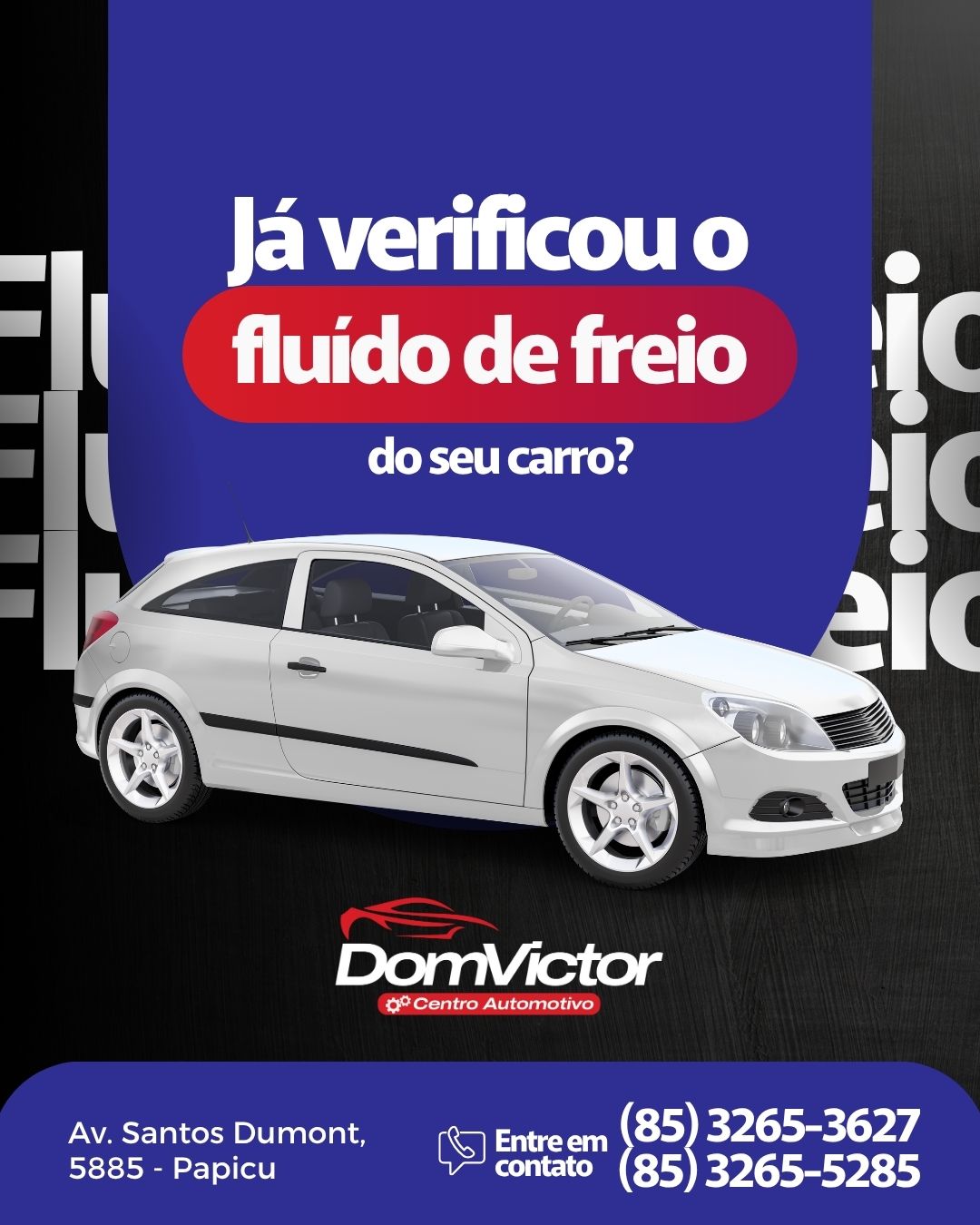 SaveClip.App_583680012_122207030084271702_2491361797429557690_n