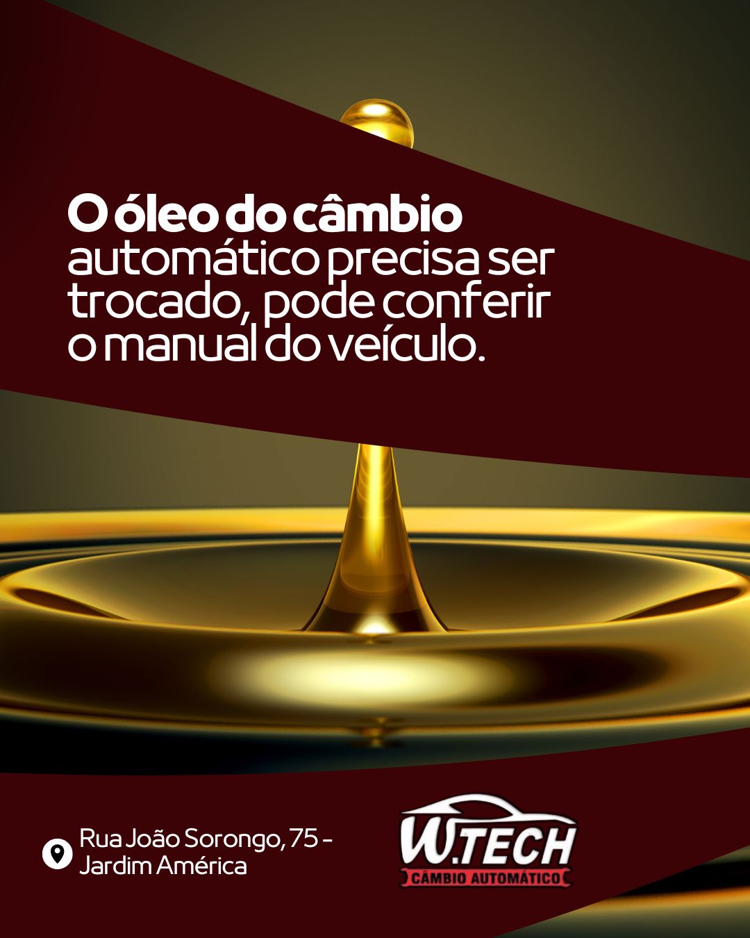 SaveClip.App_572065179_122169199904695000_5315505823182644946_n
